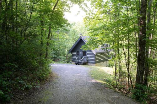 Pittman Center Casa | Lil' Smoky Studio by Stony Brook Cabins