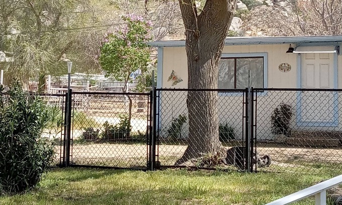 Lake Isabella Cabaña | The Lilac Cottage