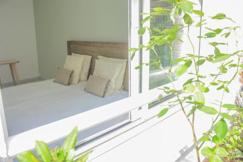 Old Lille Cama Y Desayuno | Lille au calme - chambre d'hôte M et Me Collet