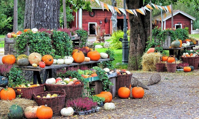 Ina Casa | Limited Time Offer Happy Halloween AllInclusiv/Ina Nagano