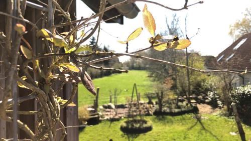 Daenschendorf Apartamento | Lindenallee 4a - Erholung und Wellness