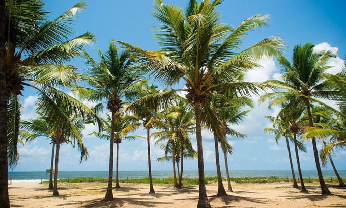Candeias Apartamento | Lindo apto à beira-mar, Jaboatão dos Guararapes/PE