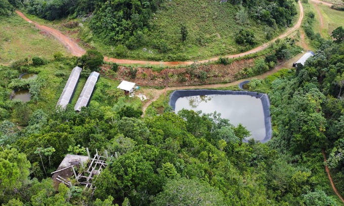 Mammee Bay Otro | Lion Farm's Eco Villas in 9 Mile Jamaica with Mountain View’s