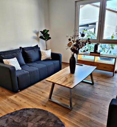 Heidenheim an der Brenz Apartamento | Lions Place Premium Apartments COMFORT optionaler Zugang zum SPA- Bereich