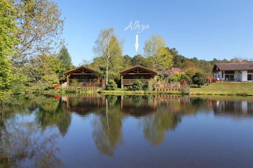Vielle-Saint-Girons Chalet De Esquí | Listed lodge with pool in the heart of the Landes