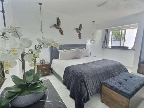 Colonia 10 de Abril Apartamento | Lit King, Netflix & Piscine, Propre & Neuf