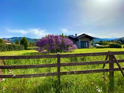 Amfikleia-Elateia Apartamento | Lithos Villas