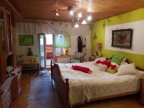 Sighisoara Casa | Littel green old Home