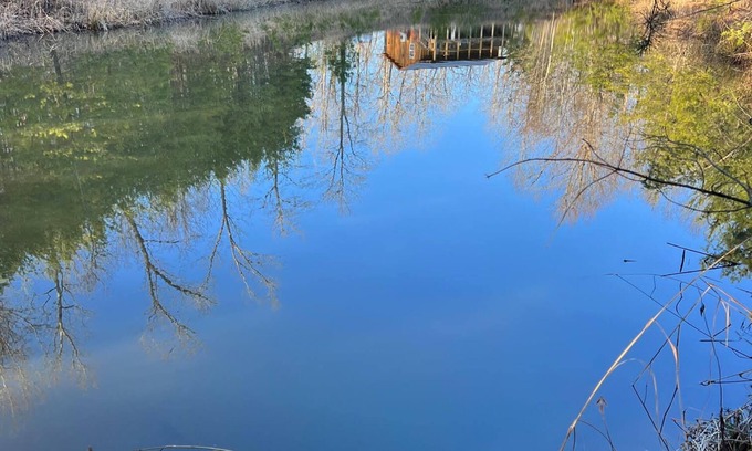 Frenchburg Cabina | Little Bear Cabin @ RRG-Dog Friendly-Hot Tub & Pond!