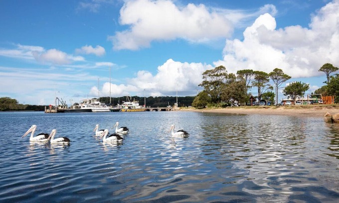 Greenwell Point Casa | "Little Comarong" 1 Bed Unit in Greenwell Point. Close to water
