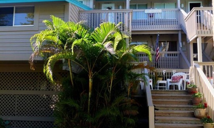 Placida Condominio | Little Gasparilla Island Getaway