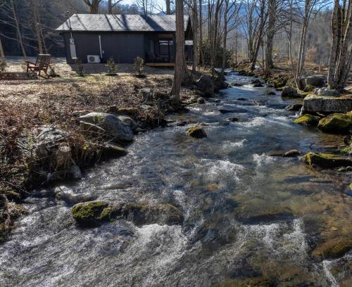 Cosby Casa | Little Gem Cabin-Pickleball Court, Creek, WIFI, Mountain Views, Starting at 79"