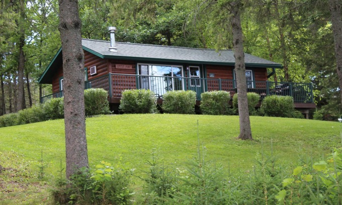 Birchwood Cabina | Little Pine Cabin; a charming retreat for couples