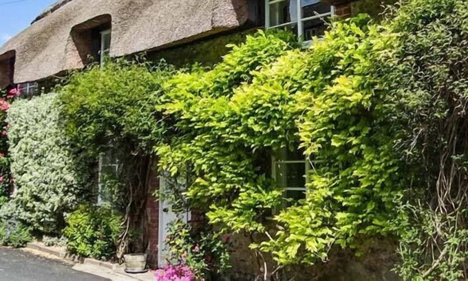 Cerne Abbas Cabaña | Pequeña paja, CERNE ABBAS
