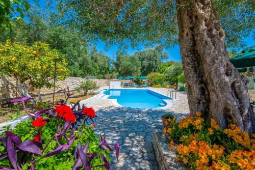 Lakka Apartamento | LIvadi Studios with Pool