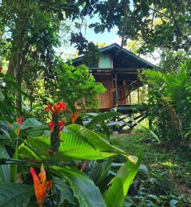 Isla Bastimentos Casa | Live the Jungle - Rustic Refuge