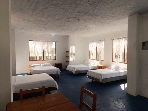 Puerto Ayora Villa | Livia House