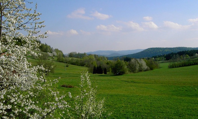 Kirchdorf im Wald Casa | Que viven en la naturaleza en el Parque Nacional del Bosque de Baviera