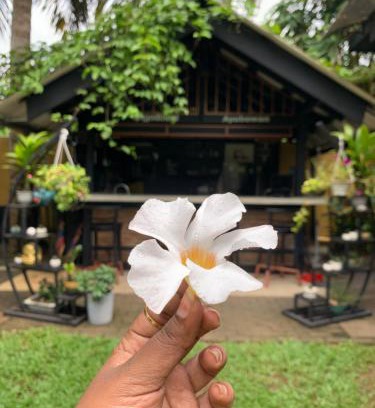 Katana Casa | Living with Lankan's Homestay
