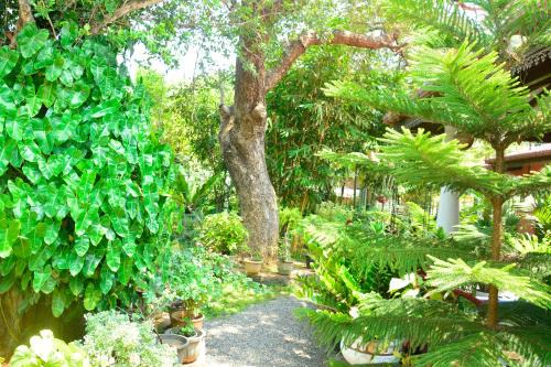 Polonnaruwa Casa | Livinginn Polonnaruwa