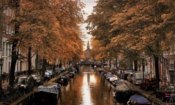Willemspark Cama Y Desayuno | Located in one of the most popular areas of Amsterdam, Oud West