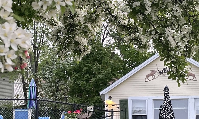 Weirs Beach Cabina | Location, Location, Location! Weirs Beach