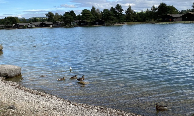 Carnforth Cabina | Lodge at PineLakes resort