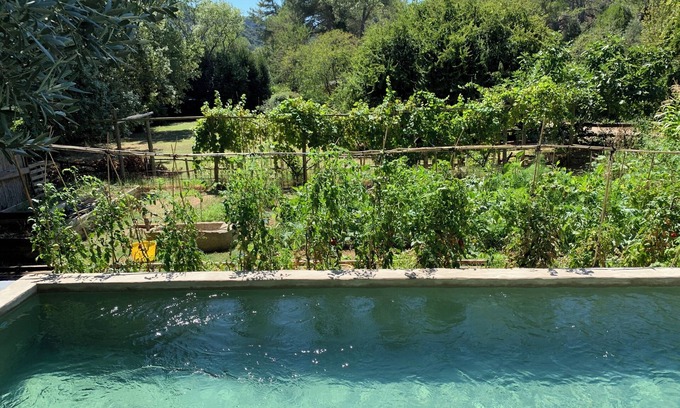 Saint-Etienne-du-Gres Cabina | Lodge en pleine nature parc naturel de Alpilles en Provence.