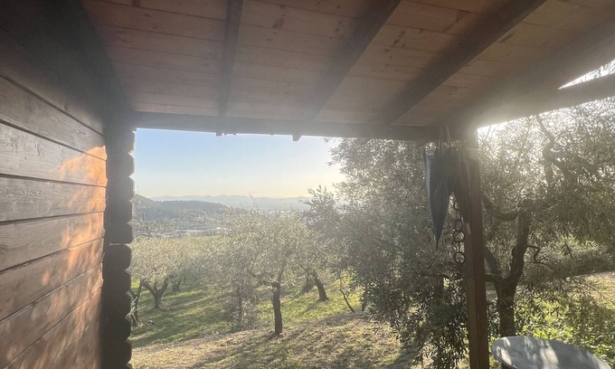 Calenzano Otro | Lodge in the olive grove