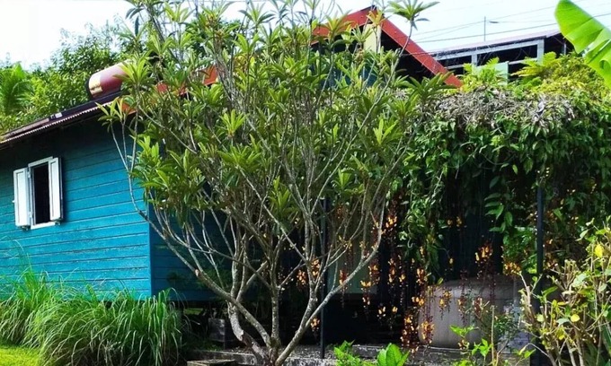 Bras-Panon Apartamento | Lodge the Creole garden