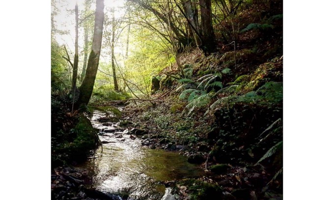 Rimont Casa | Lodging between forest and streams
