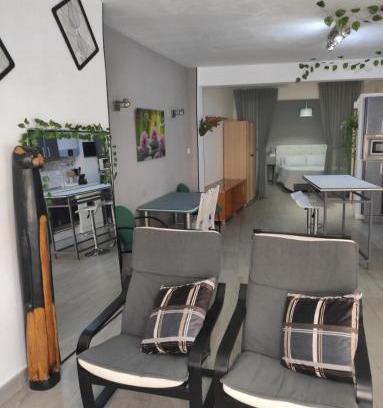 Talavera de la Reina Apartamento | Loft CENTRO Con Parking privado GRATIS