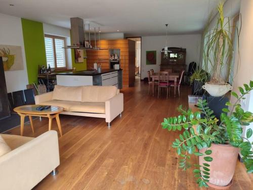 Lustenau Apartamento | Loft mit Kamin und Whirlpool