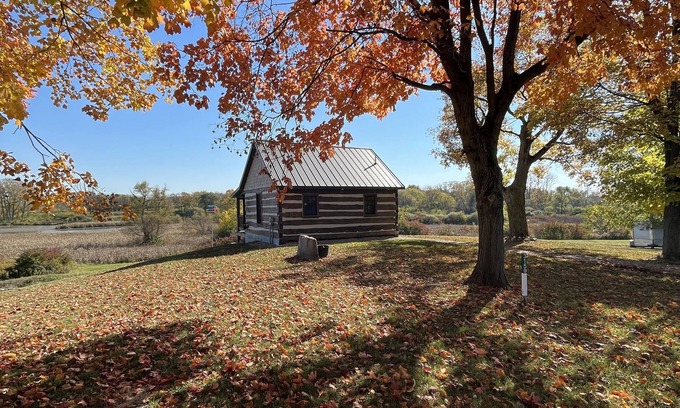 London Cabina | Log Cabin overlooking wetland reserve