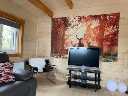County Cork Casa | Log Cabin with Hot Tub Large Patio Near Cork city
