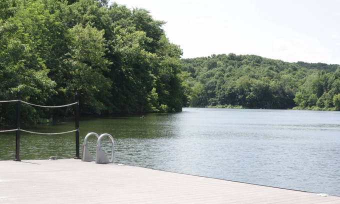 Springdale Cabina | Log Home on Beaver Lake, Big Views, Big Fun!!