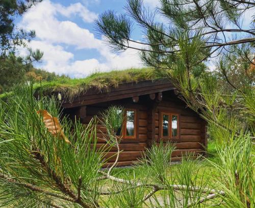 Newland Near Ulverston Cabina | Log home village