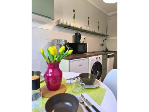 Rymanow-Zdroj Apartamento | Lokal 40 - apartament w samym centrum