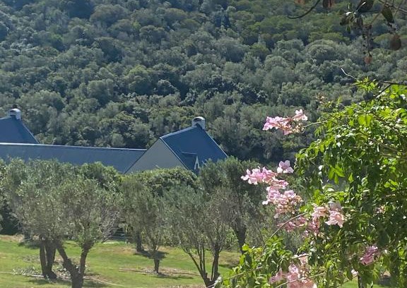 Still Bay Apartamento | Long Thin Farm