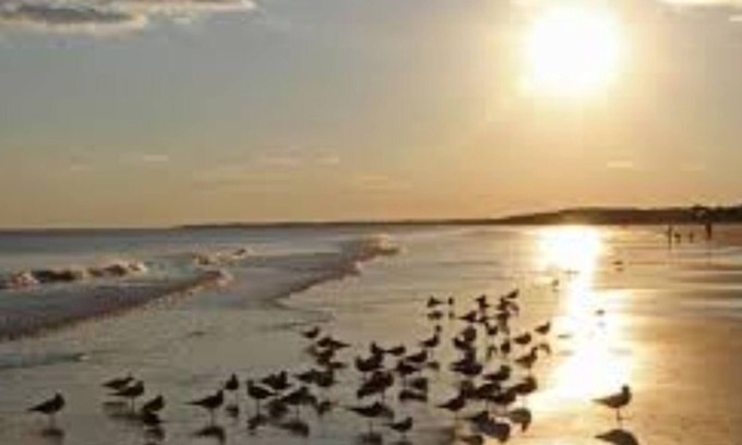 Johns Island Apartamento | Loo’s Roost A small suburban farm setting with Charleston area amenities