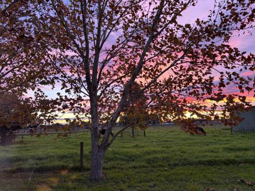 Lorn Casa | Lorn Farm Stay