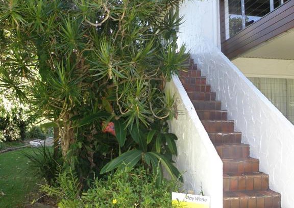 Point Lookout Apartamento | Los Nidos Unit 2
