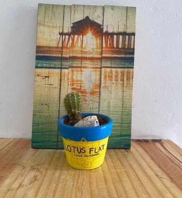 Canoa Quebrada Cabina | Lotus Flat - Canoa Quebrada
