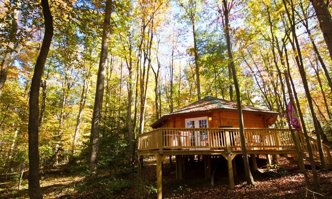 Hico Cabina | Yurt romántico del amor de la cabaña