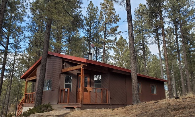 Jemez Springs Cabina | Lovely 2 Bedroom Cabin in the Woods