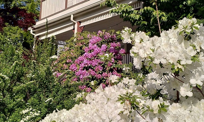 Arlington Apartamento | Lovely, bright 2-BR in historic Arlington