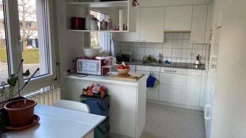 Allschwil Apartamento | Lovely calm flat in 10min in Basel