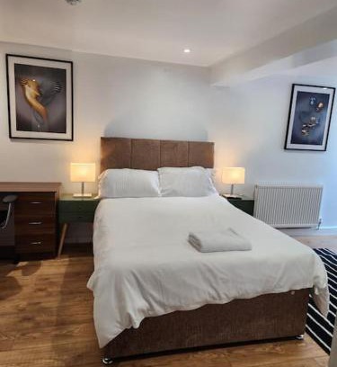 London Borough of Bexley Apartamento | Lovely En-suite Room with private entry, Close to Station