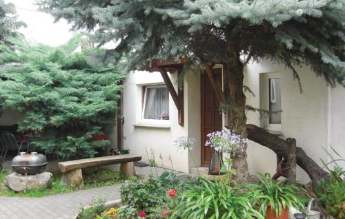 Langengrassau Casa | Lovely Home In Heideblick With Kitchen