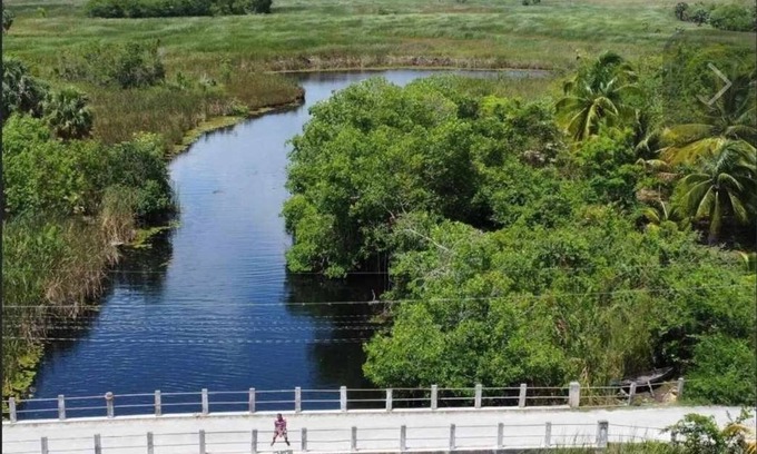Lacovia Cama Y Desayuno | Lovely River view two bedrooms on The banks of Black River. Breakfast Included!